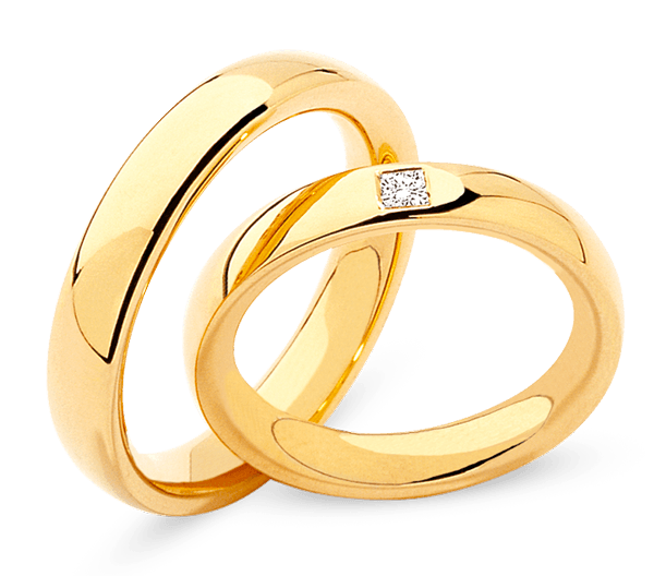 Illustration de l’univers Alliances