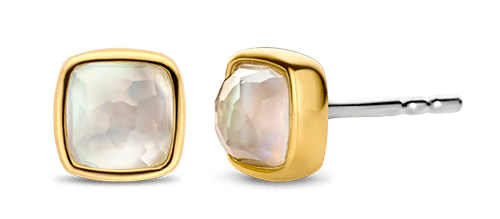 Illustration de l’univers Boucles d'oreilles 7885MW